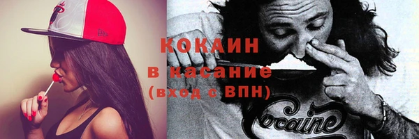 крисы Нея