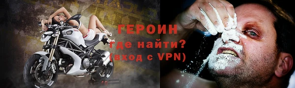 индика Новозыбков
