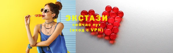 индика Новозыбков