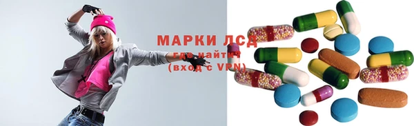 индика Новозыбков