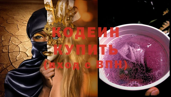 индика Новозыбков