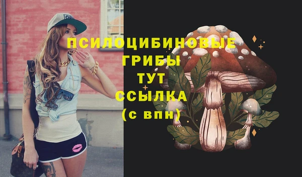 твердый Почеп