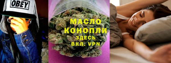 индика Новозыбков