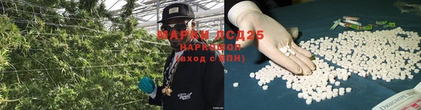 крисы Нея