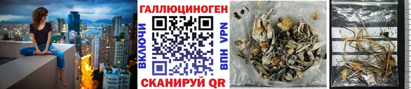 Галлюциногенные грибы GOLDEN TEACHER  Ржев 