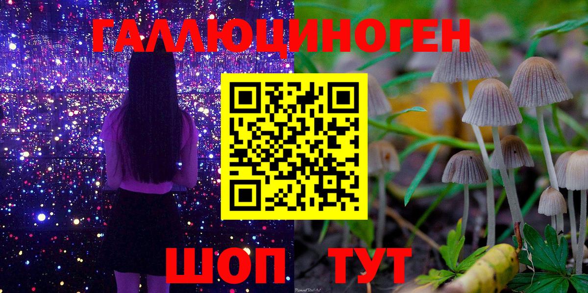 Галлюциногенные грибы прущие грибы Ржев